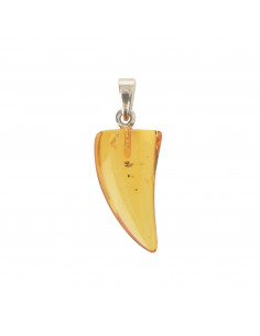 Honey Animal Teeth Shape Baltic Amber Pendant with 925 Sterling Silver
