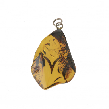 Amber Pendant with Zodiac Symbols