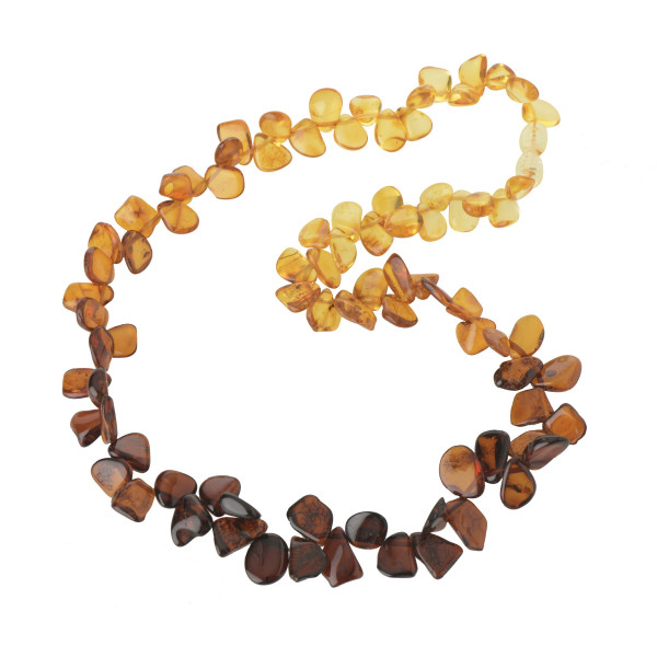 Rainbow Polished Amber Necklace for Adult
