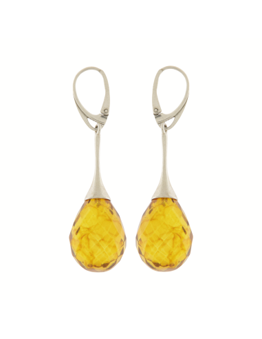 Polished Cognac Baltic Amber Drop Earrings