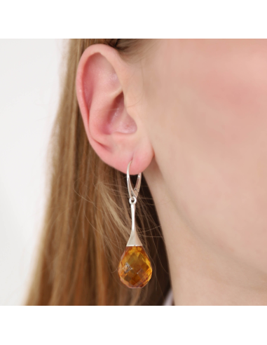 Polished Cognac Baltic Amber Drop Earrings