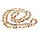 Multi Color Chip Polished Amber Long Necklace for Adult