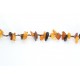 Multi Color Chip Polished Amber Long Necklace for Adult