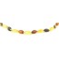 Multi Color Olive Polished Amber Necklace for Adult