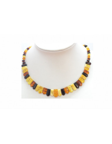 Multi Color Polished Amber Necklace for Adult