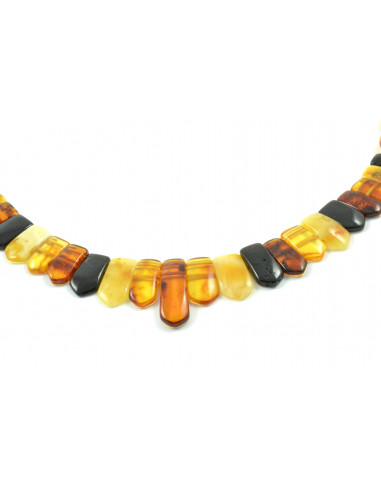 Multi Color Polished Amber Necklace for Adult