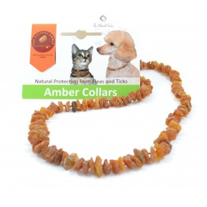 Cognac & Honey Amber Pet Collar