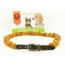 Amber Pet Collar with Leather Strap