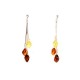 Multi Amber Earrings with Sterling Silver 925