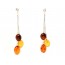 Multicolor Baltic  Amber Drop Earrings for Women with Sterling Silver