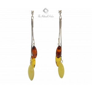 Multi Baltic Amber Drop Earrings with Sterling Silver 925