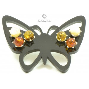 3 Pairs of Amber Stud Earrings with Butterfly Display Stand