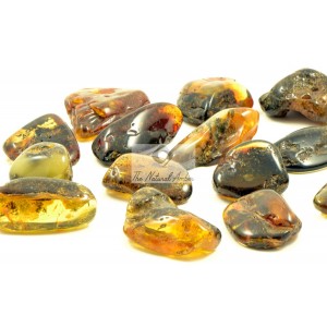 Baltic Amber Souvenir Stones