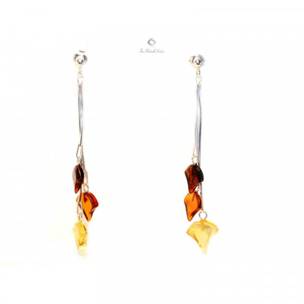Multicolor Polished Baltic Amber Drop Earrings with Sterling Silver 925