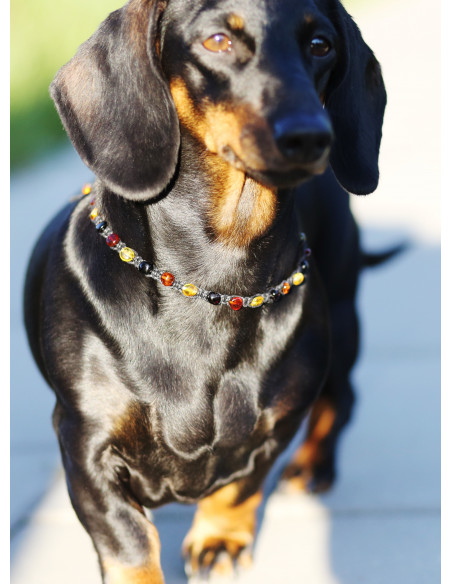 Multi Olive Amber Dog & Cat Necklace