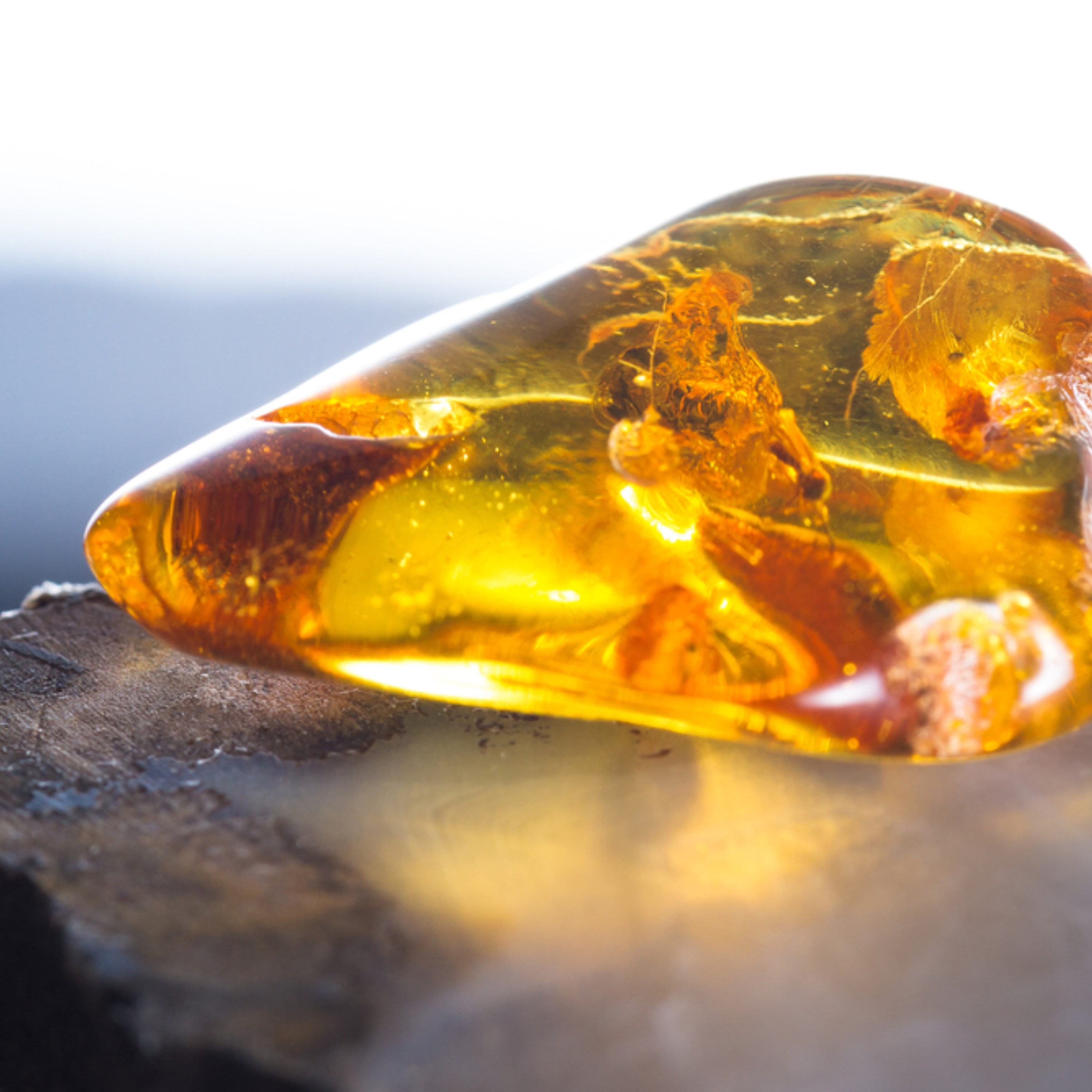 Baltic Amber - What it is ?